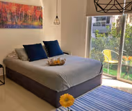 Sinaloa New Suite