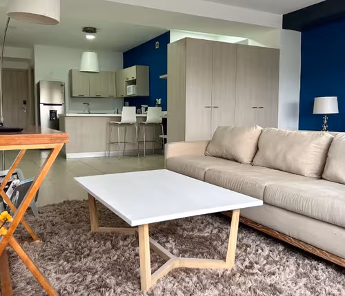 Elegant and Cozy Apartment