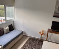 Elegant and Cozy Apartment