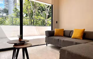 Condesa Apartment with Terrace