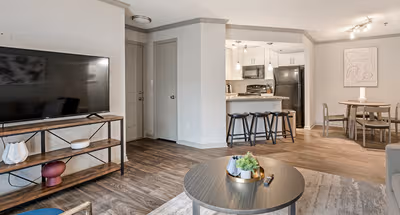 Roswell Road NE Apartment