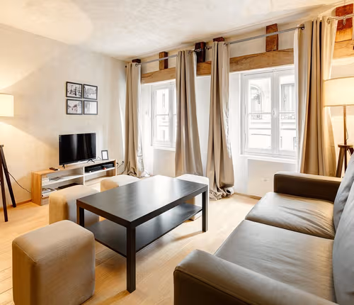 Explicit Vintage 14th Century Luxury on Rue Buci