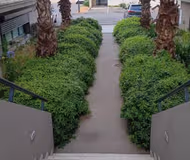 Lucciana Serviced Apartment