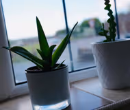 Spacious 3BR Home Retreat in Halifax Countryside