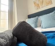 Sunny Westside Two 2BR Flat with City View