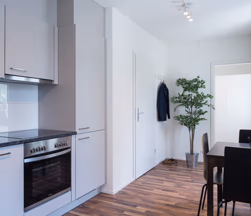 Wiedikon Apartments