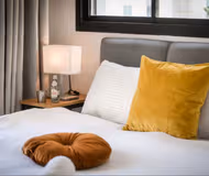 Two Bedroom Luxurious Apartment at Balfour Street 2