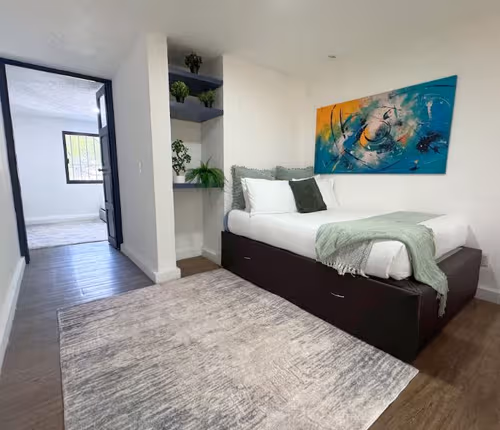 Cozy Family Apartment in Coyoacan