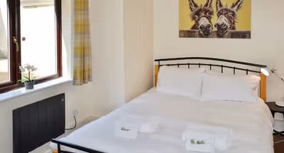 Wilton 1BR