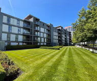 Amethyst Apartment at The Vizion