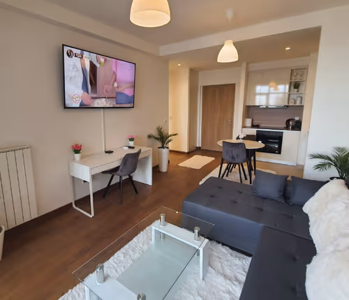 Hercegovacka Serviced apartment