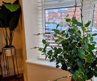 Flat 1 Bristol Court Apartment