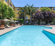 Avalon at Lexington Hills Apartment