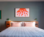 Rua Passos Manuel Serviced Apartment