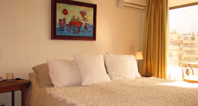 Mapocho Riverside Apartment