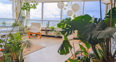 listing-41532368-1