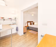The Potting Shed
