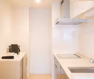 Modern Ebisu City Apartment