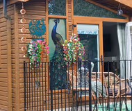Peacock Lodge Quirky & Tranquil Home from Home