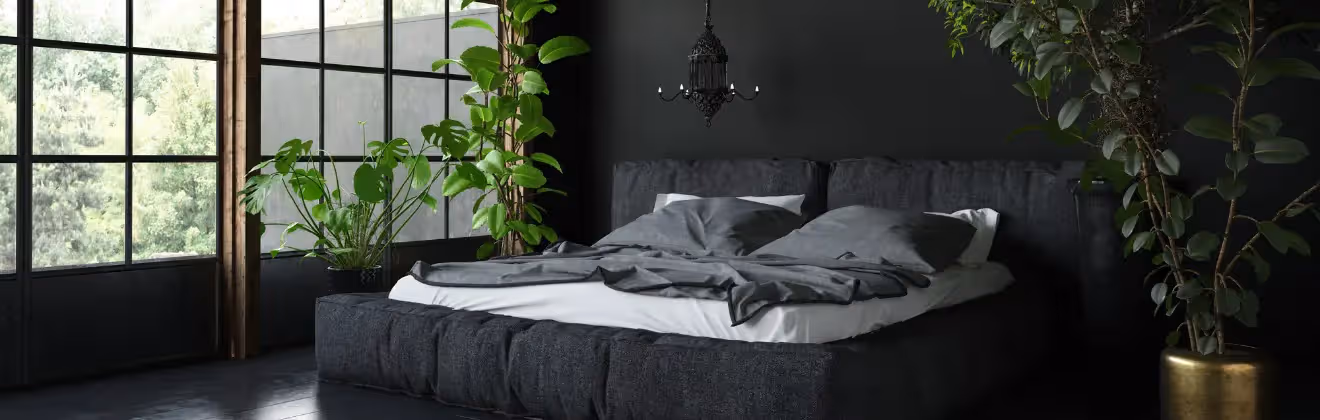 1 bedroom apartment for rent in Boston