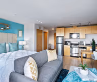 listing-50639593-3