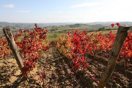 Villa Montagnana in Chianti