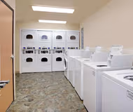 Richmond West Apartment