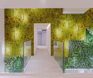 Torre Galfa Apartments