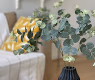 Brooklyn House-31 Rillaton Walk