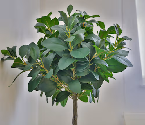 Sleek Central 2 Bed Apartment-