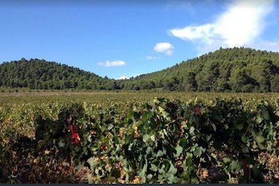 Breathtaking view of the Durance plain and the Sainte-Victoire