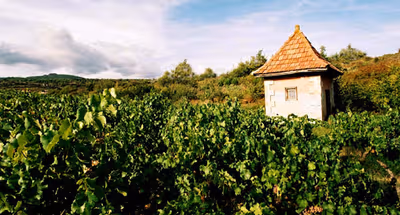 Cesseras Serviced Apartment