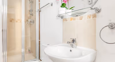 The Paddington Collection