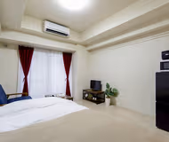 Musashi Kosugi Apartments, Kawasaki