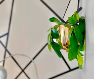 Stunning living area in Maybank Avenue - Wembley