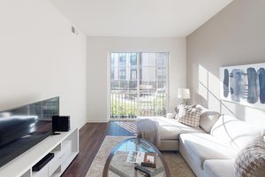 Milwaukee Ave Apartment