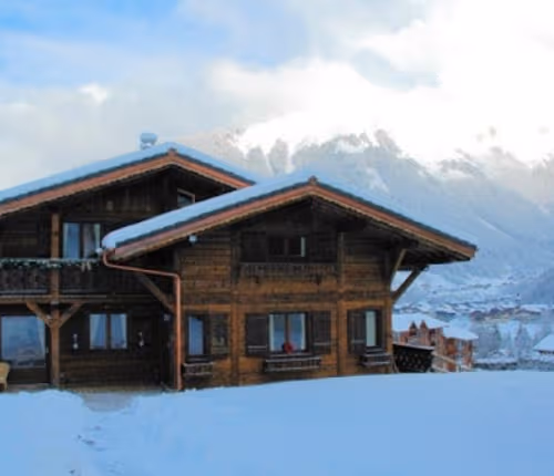 White Fairyland Traditional Chalet
