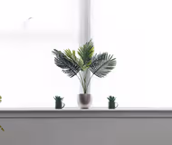 The Waterloo Collection