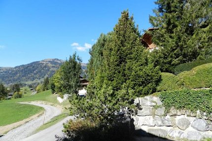 16th Century Traditional Farmhouse in Saanenland