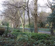 Herbert Park Lane
