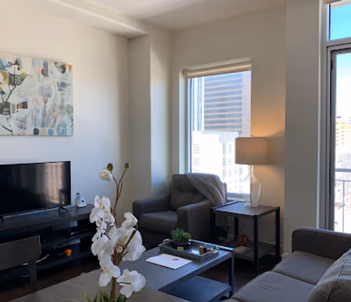 Living area at Downtown apartment