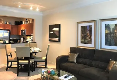 Hermann Park Apartment