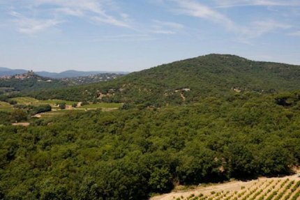 A Classical Provencal Villa in Grimaud