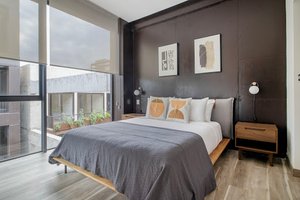 Roma Norte Cuadra Apartment