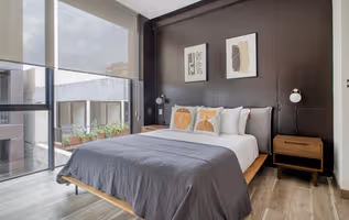 Roma Norte Cuadra Apartment