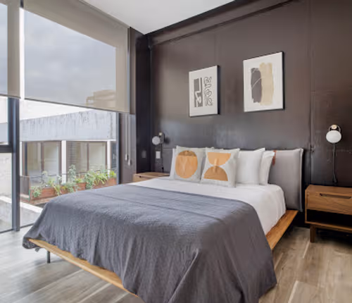 Roma Norte Cuadra Apartment