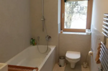 Serneus  Serviced apartment