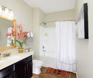 Bathroom at Taylor house