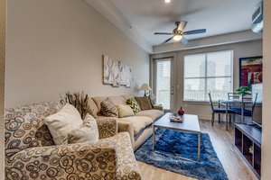 Harry Hines Blvd Apartment