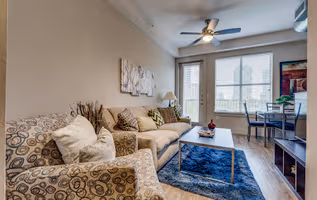 Harry Hines Blvd Apartment